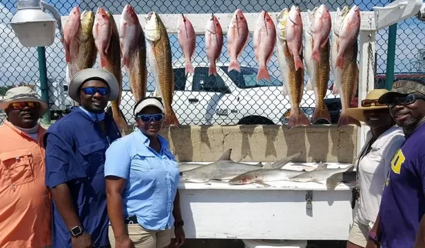 Nice catch of Fishing Frenzy Charters